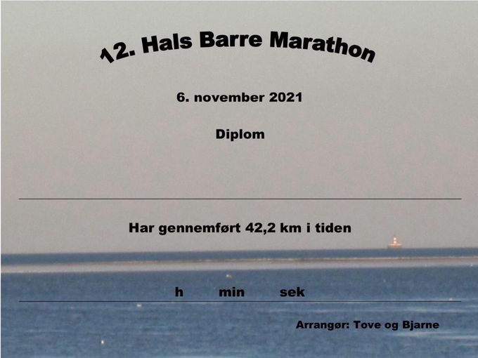 Diplom 06.11.2021 Marathon